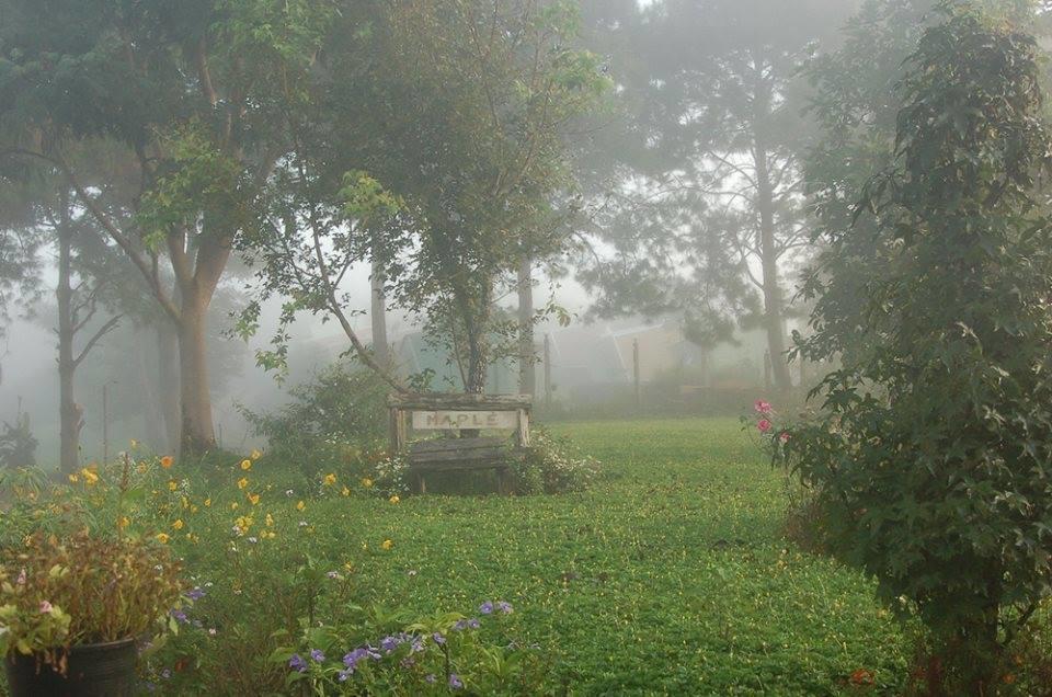 Red Z Cool Mountain Hotel Khao Kho Exterior photo