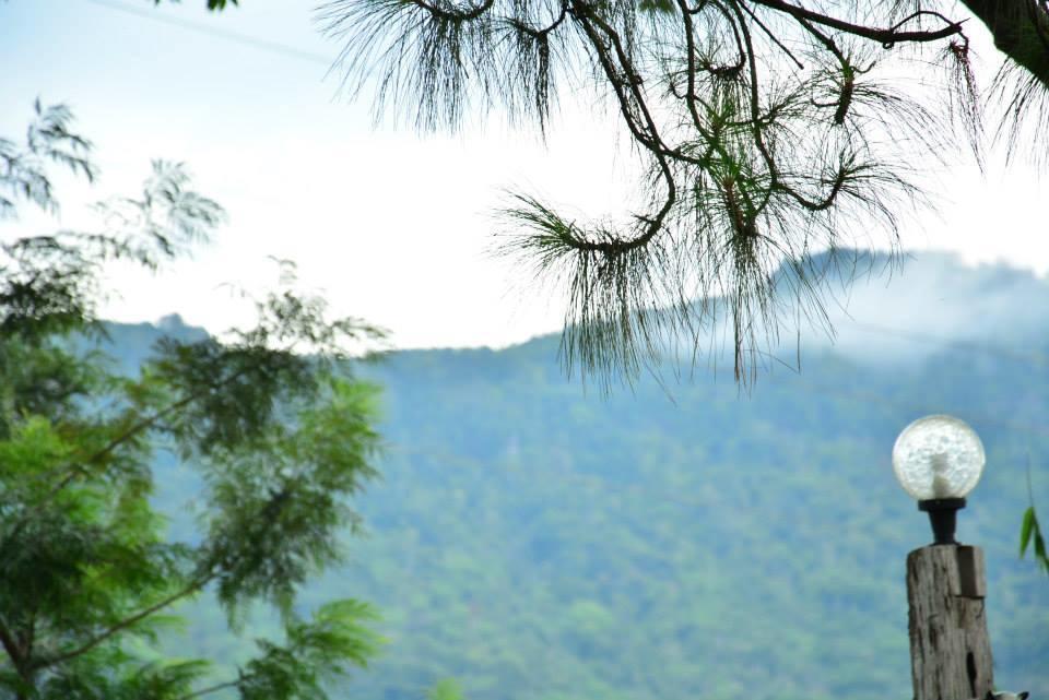 Red Z Cool Mountain Hotel Khao Kho Exterior photo