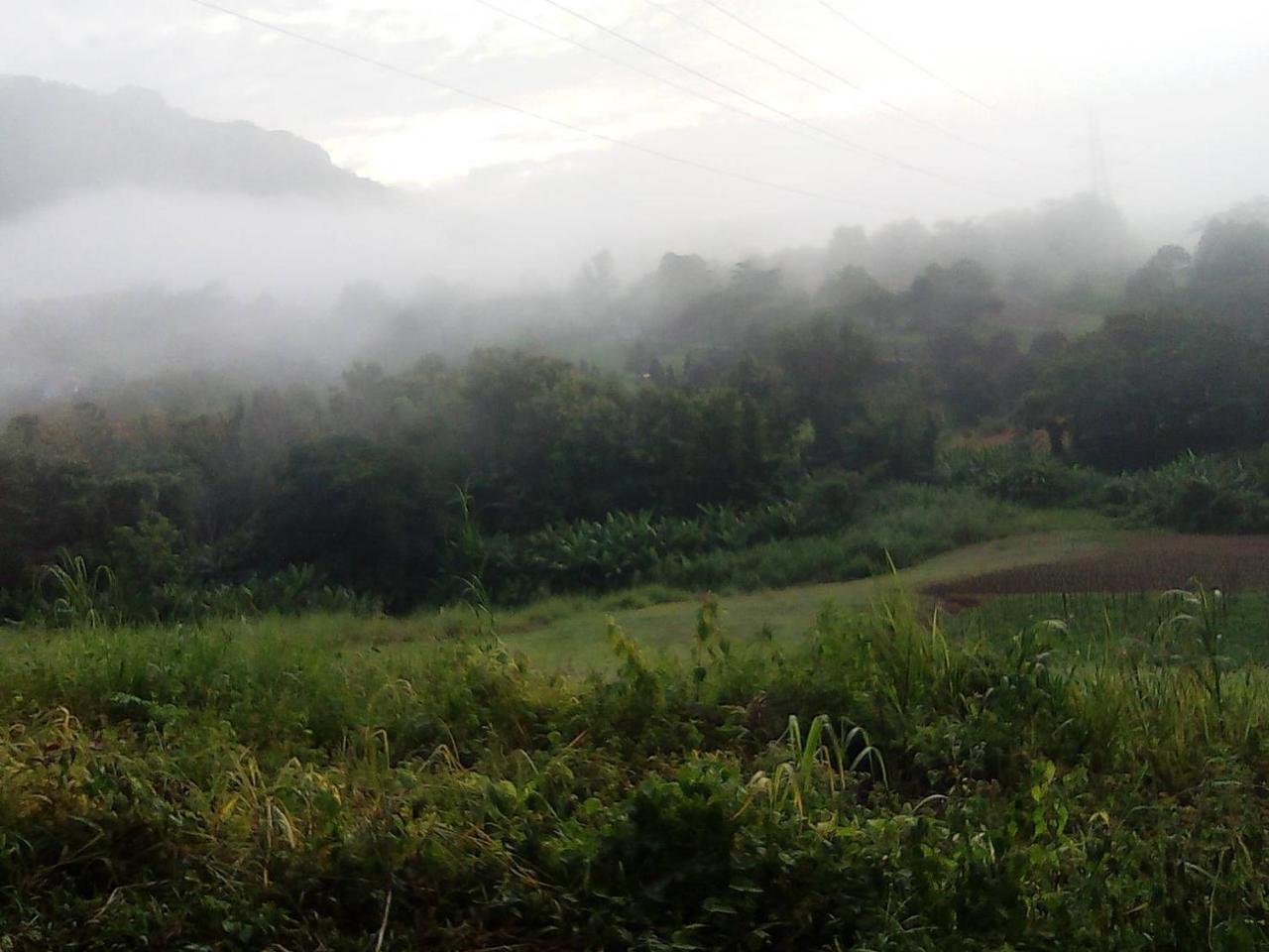 Red Z Cool Mountain Hotel Khao Kho Exterior photo